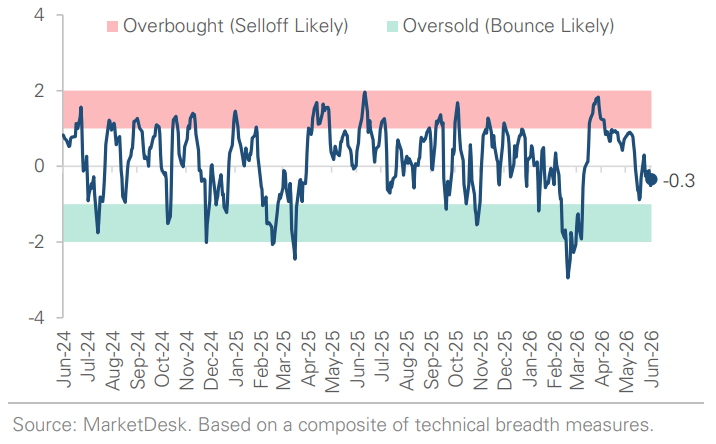 SP 500 Technical Composite
