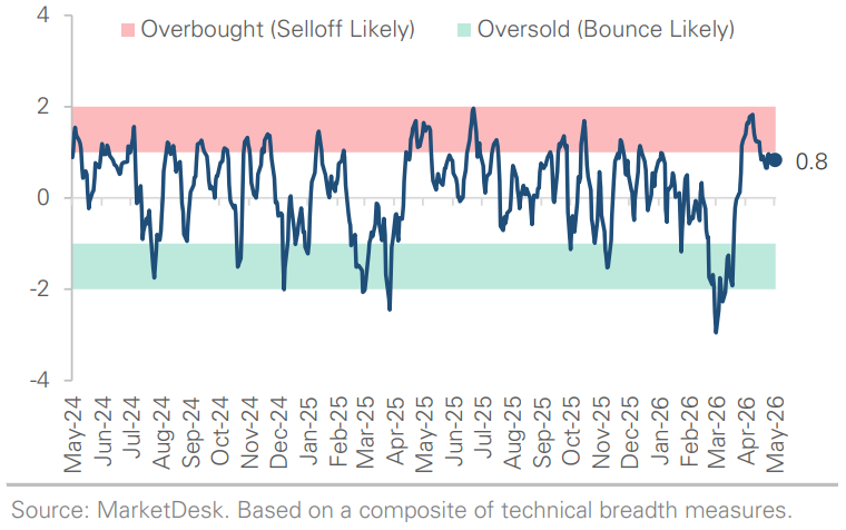 SP 500 Technical Composite