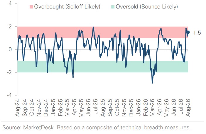 SP 500 Technical Composite