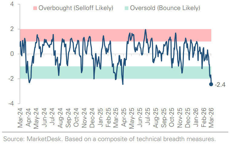 SP 500 Technical Composite