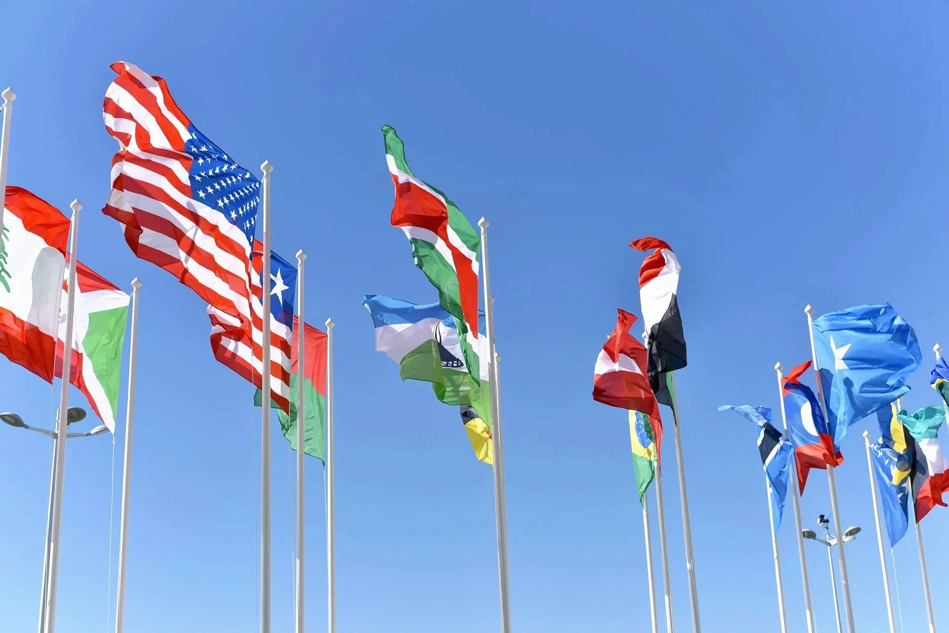 World Flags