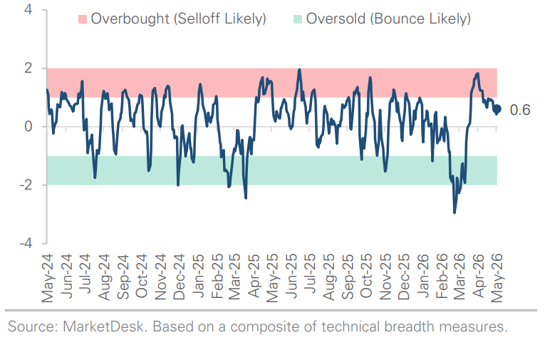 SP 500 Technical Composite