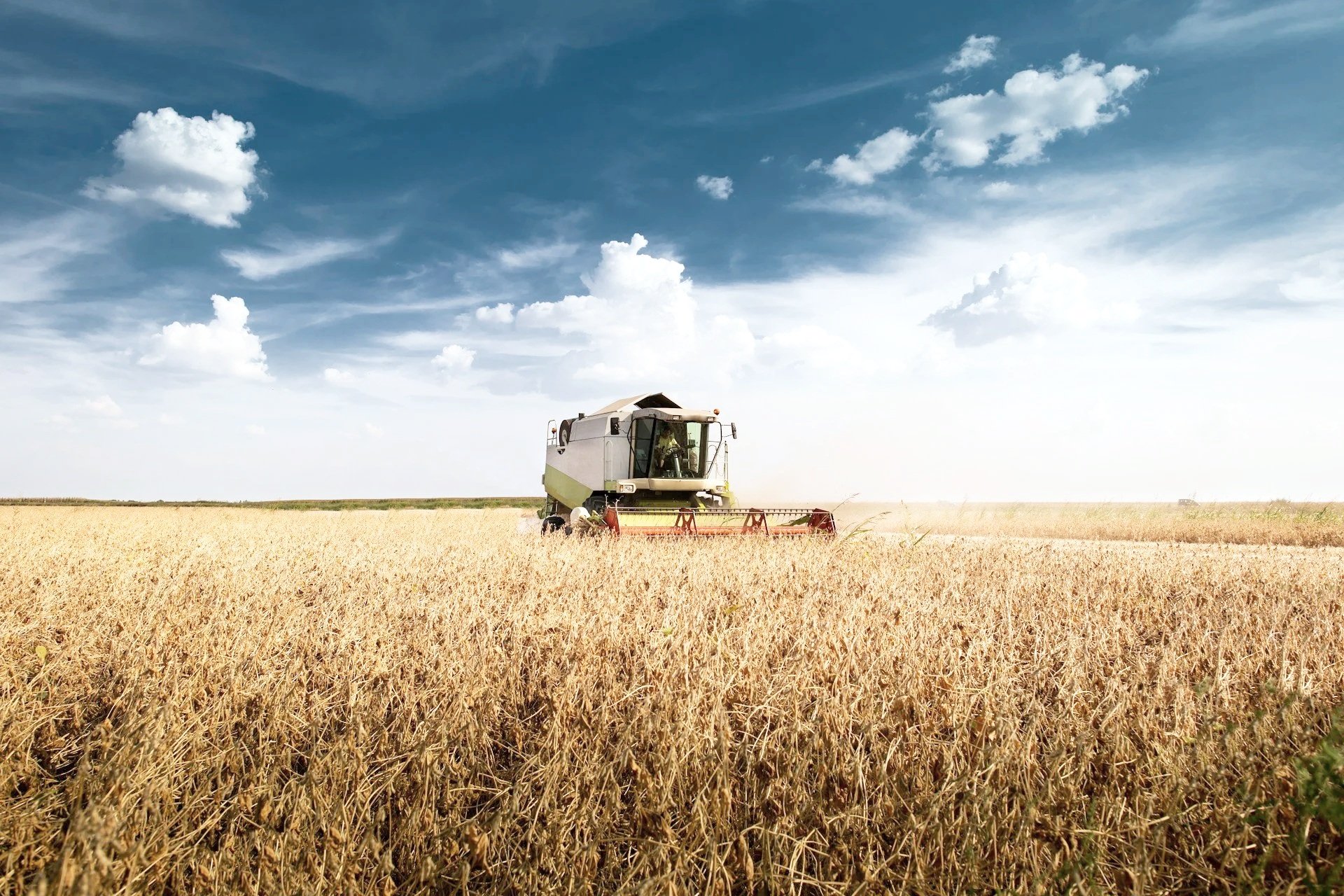 Harvesting Wheat