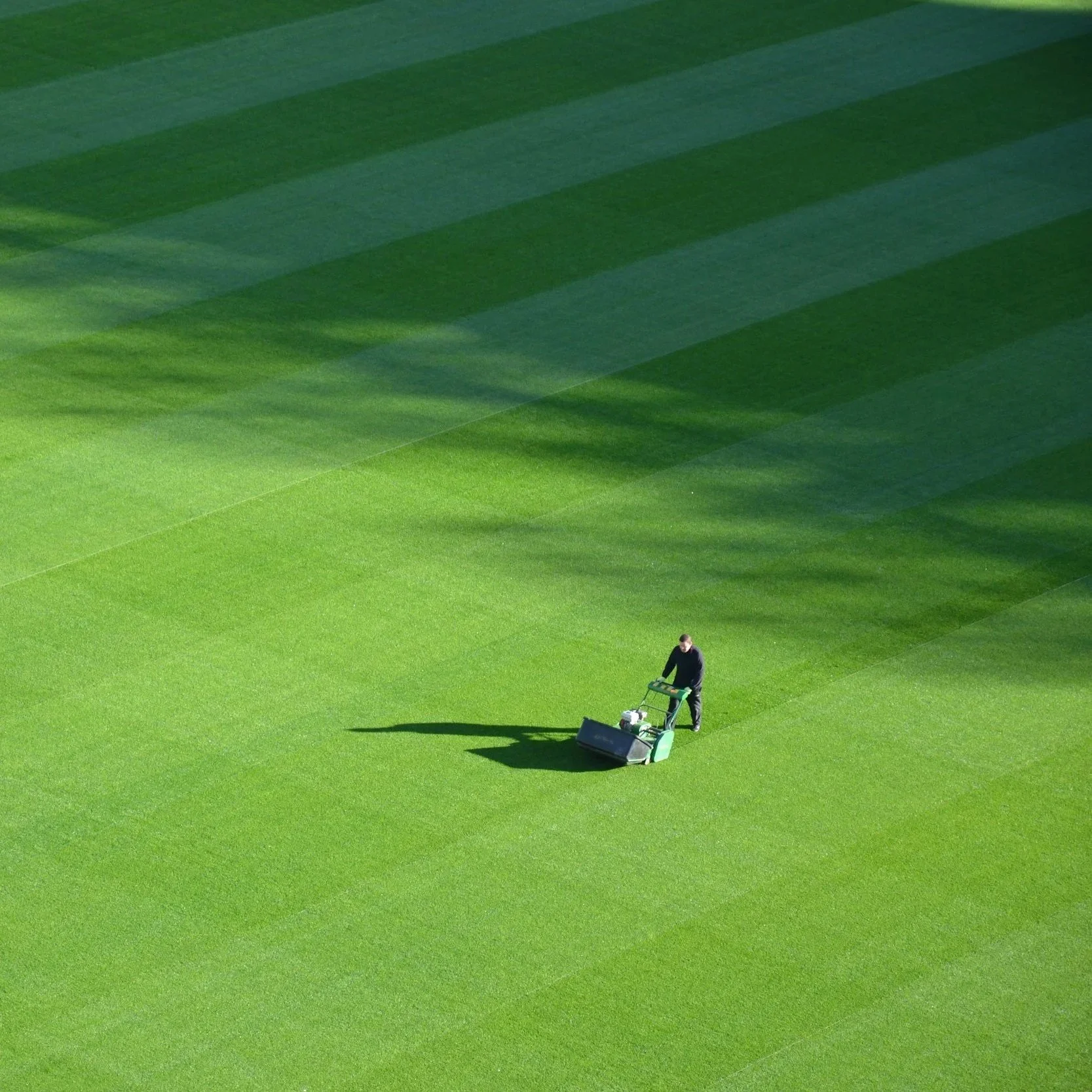 What to Expect During Artificial Grass Installation at Your Phoenix School