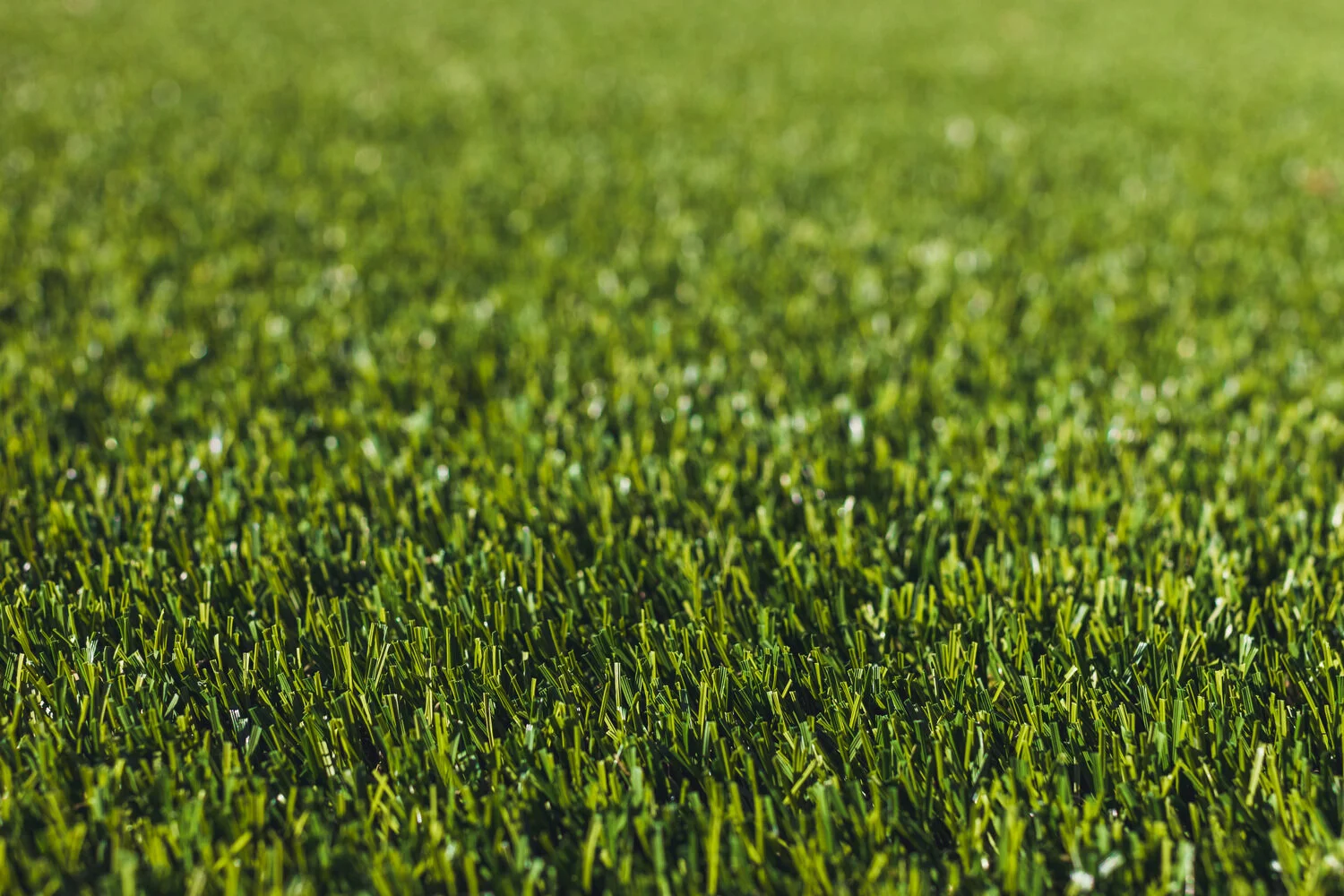 aaron-kes-photography-green-thumb-local-turfscapes-5.jpg