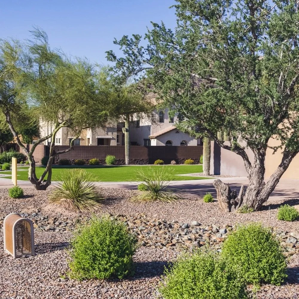 synthetic lawn installation arizona