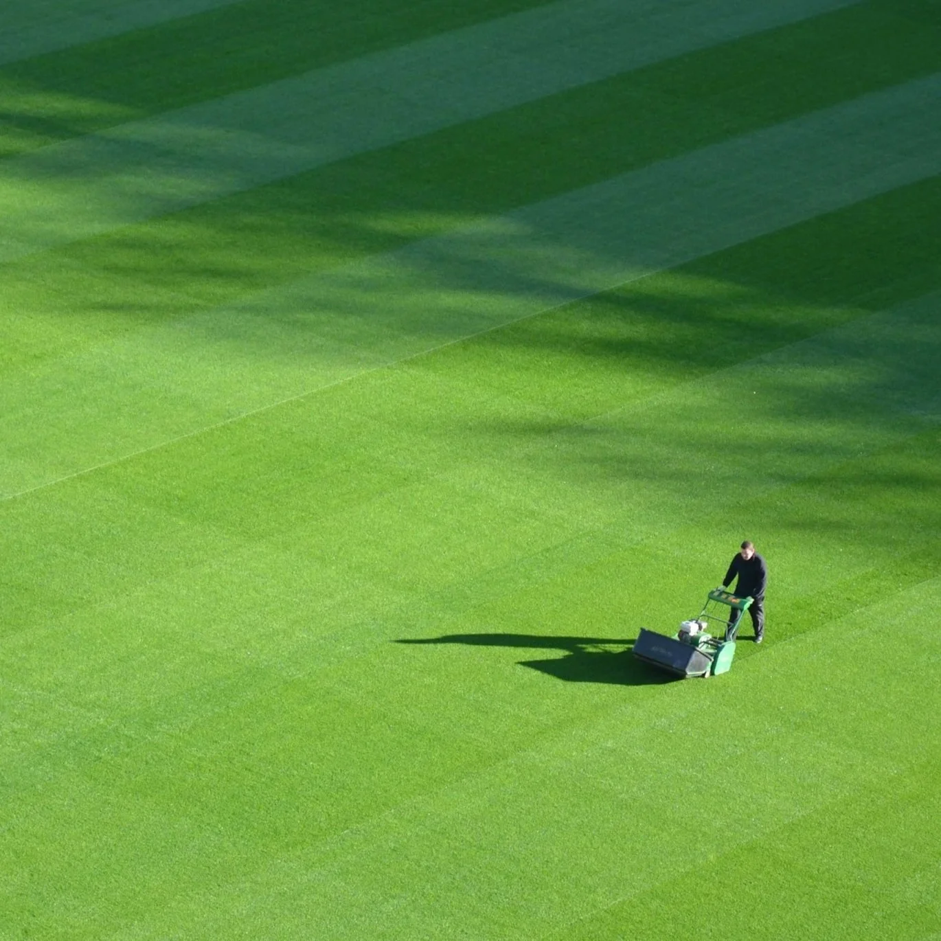 Why Synthetic Lawns Are the Future of Water-Conscious Landscaping