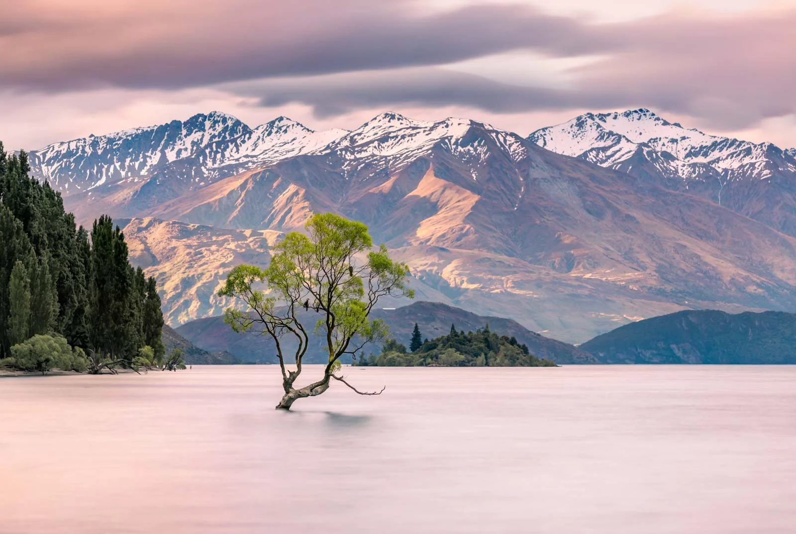 Travel-photography-new-zealand-nitish-waila-production-social media content creation-25.jpg