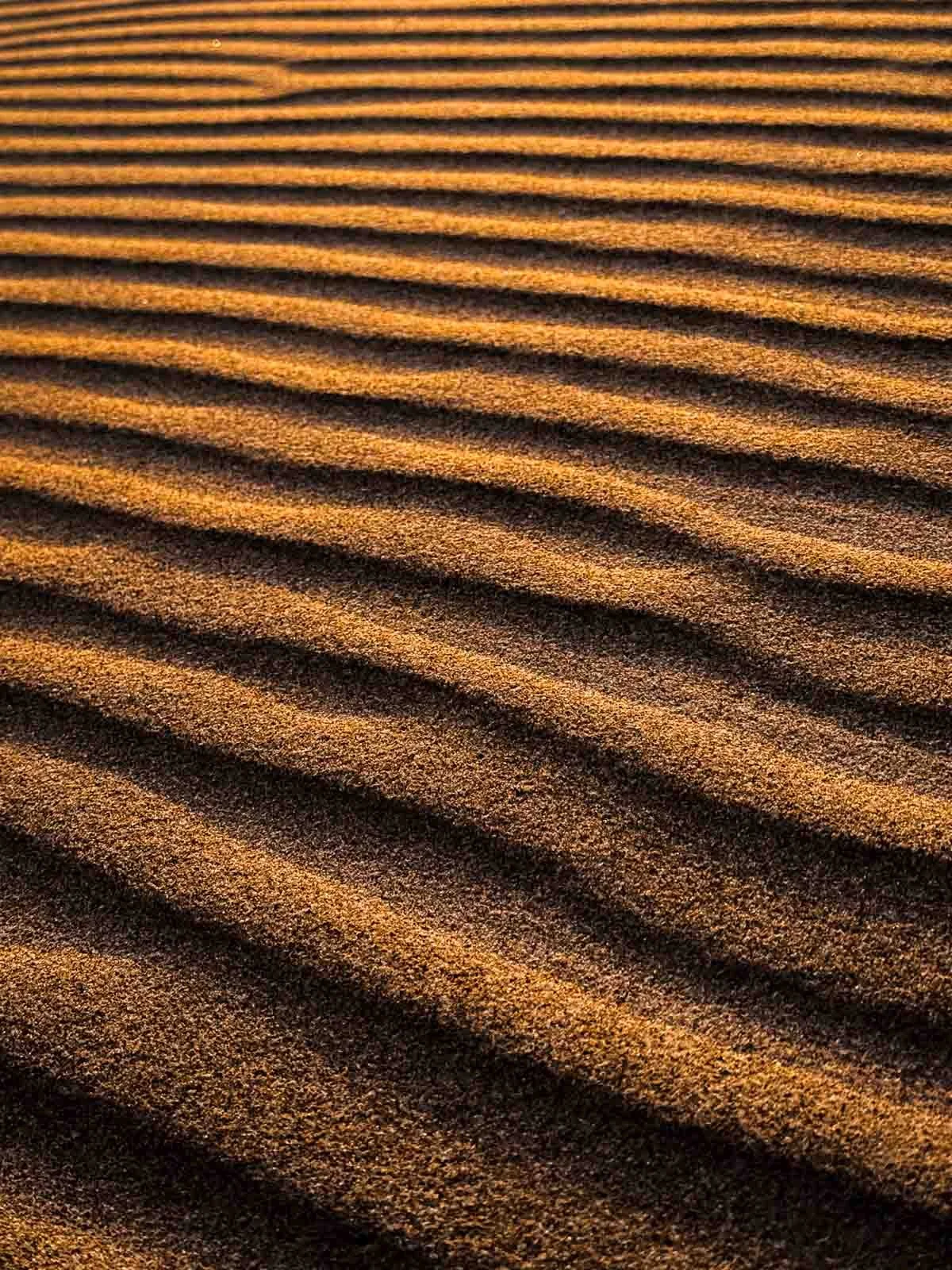 Travel-photography-new-zealand-nitish-waila-production-social media content creation-61.jpg