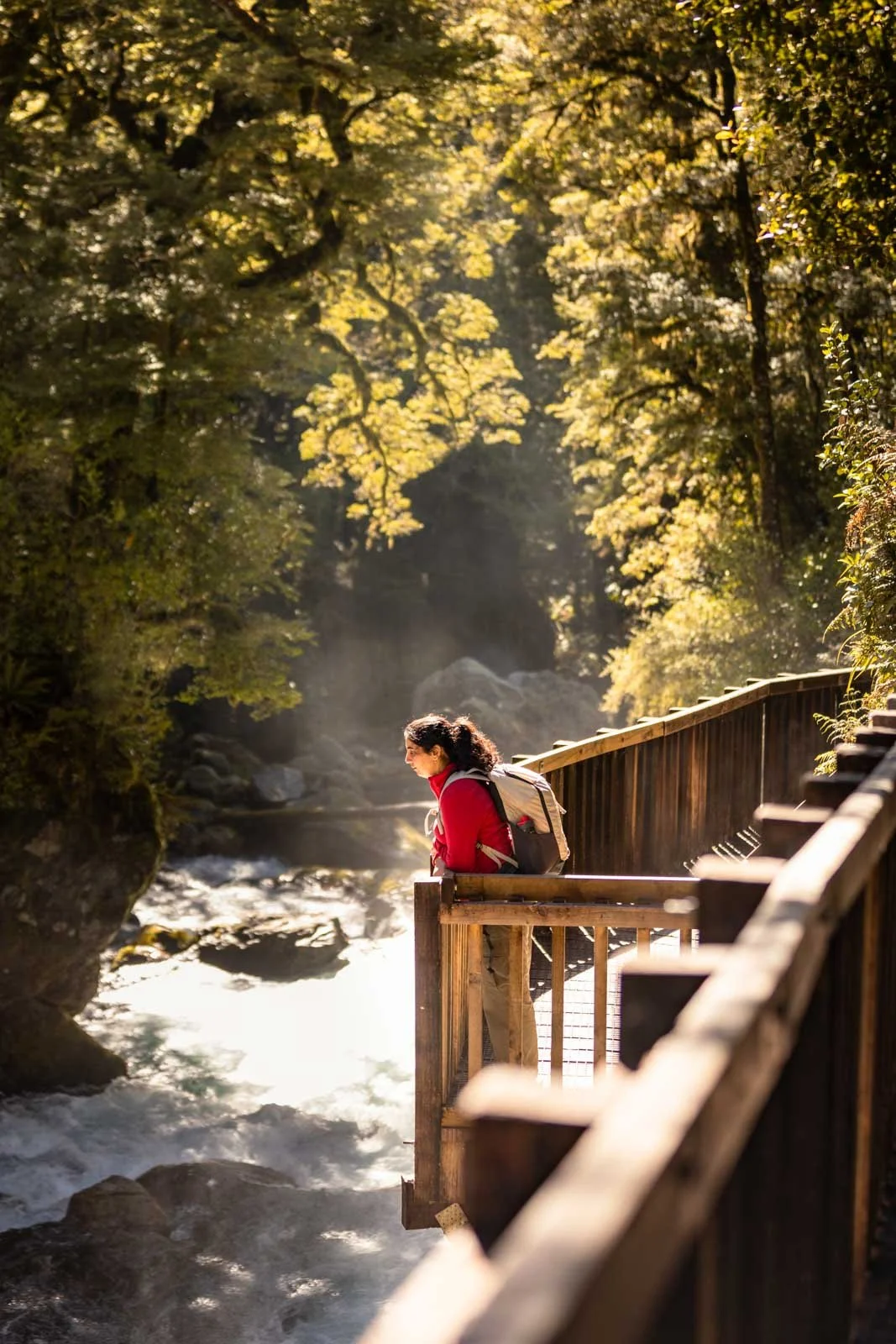 Travel-photography-new-zealand-nitish-waila-production-social media content creation-51.jpg