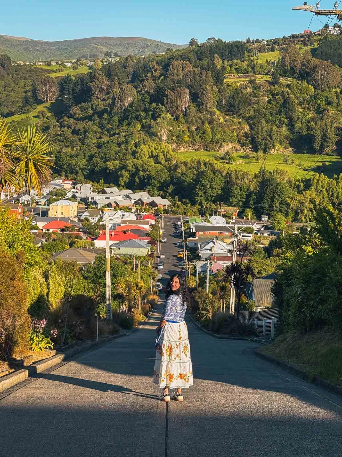 Travel-photography-new-zealand-nitish-waila-production-social media content creation-59.jpg