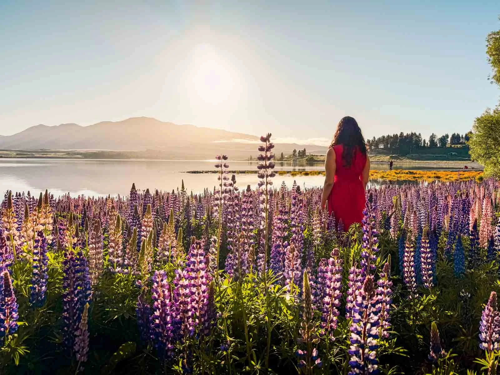 Travel-photography-new-zealand-nitish-waila-production-social media content creation-3.jpg