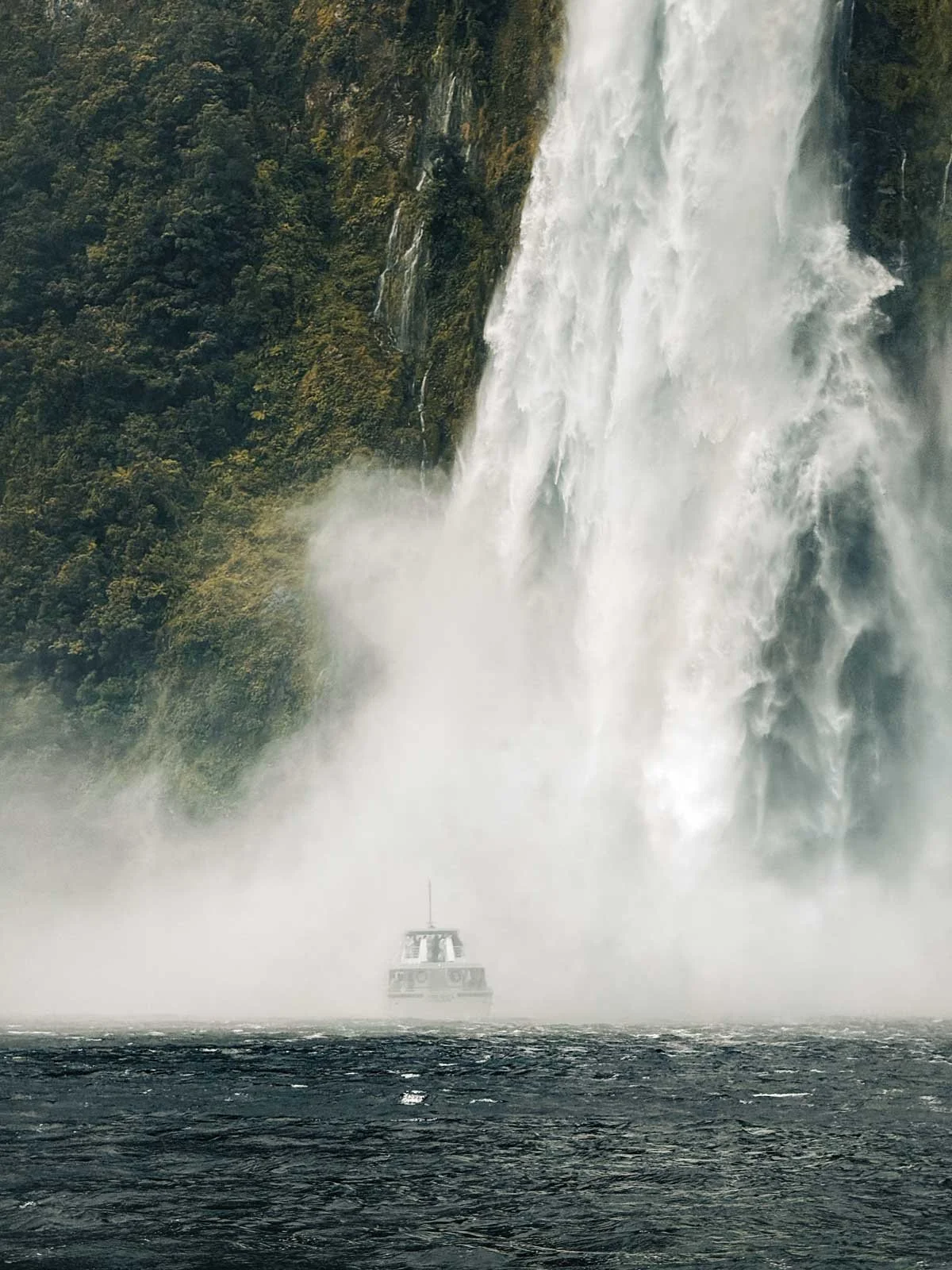 Travel-photography-new-zealand-nitish-waila-production-social media content creation-43.jpg