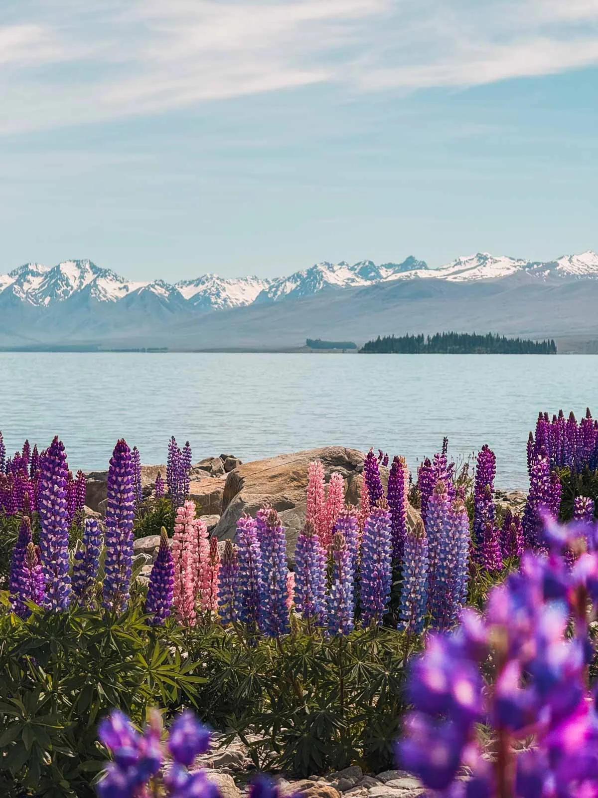 Travel-photography-new-zealand-nitish-waila-production-social media content creation-5.jpg