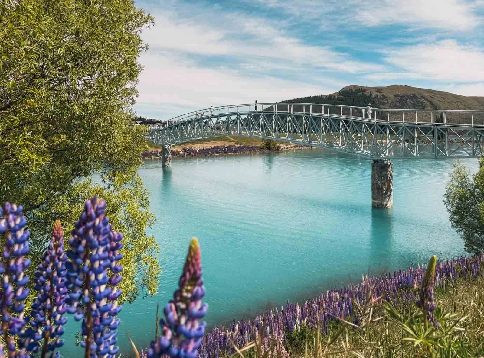 Travel-photography-new-zealand-nitish-waila-production-social media content creation-7.jpg