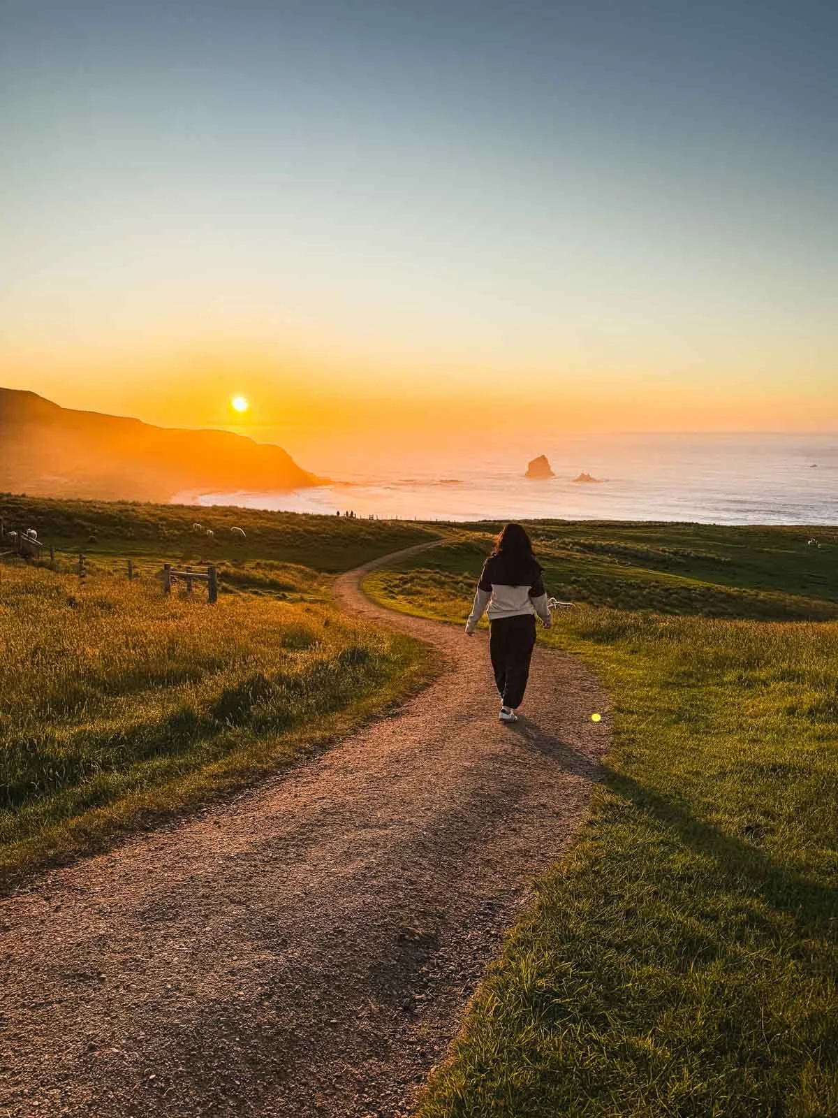 Travel-photography-new-zealand-nitish-waila-production-social media content creation-65.jpg