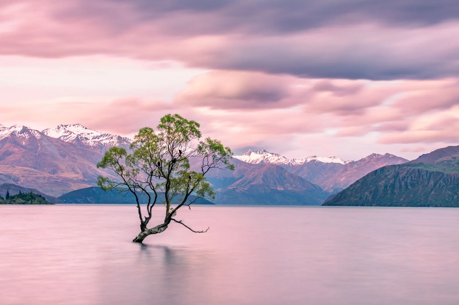 Travel-photography-new-zealand-nitish-waila-production-social media content creation-26.jpg