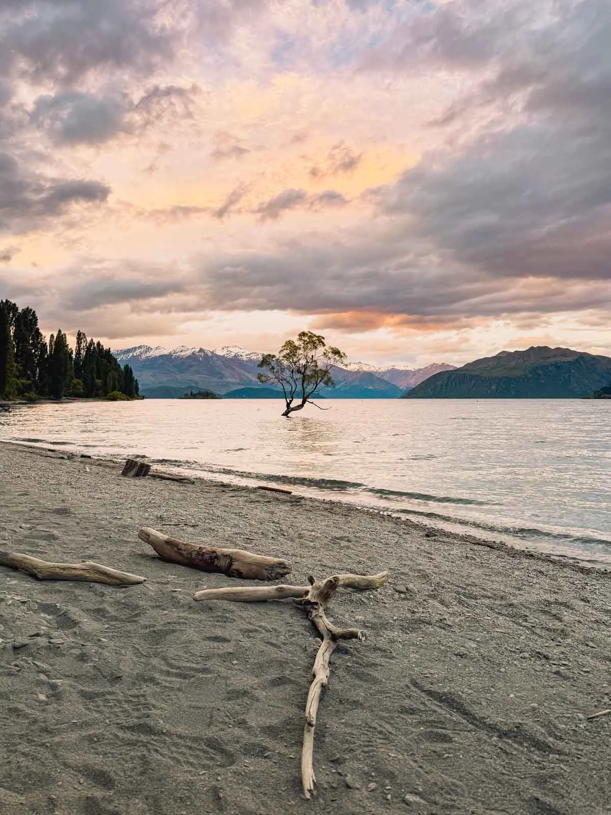 Travel-photography-new-zealand-nitish-waila-production-social media content creation-30.jpg