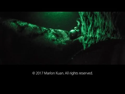 Dark Universe – the Family jewels