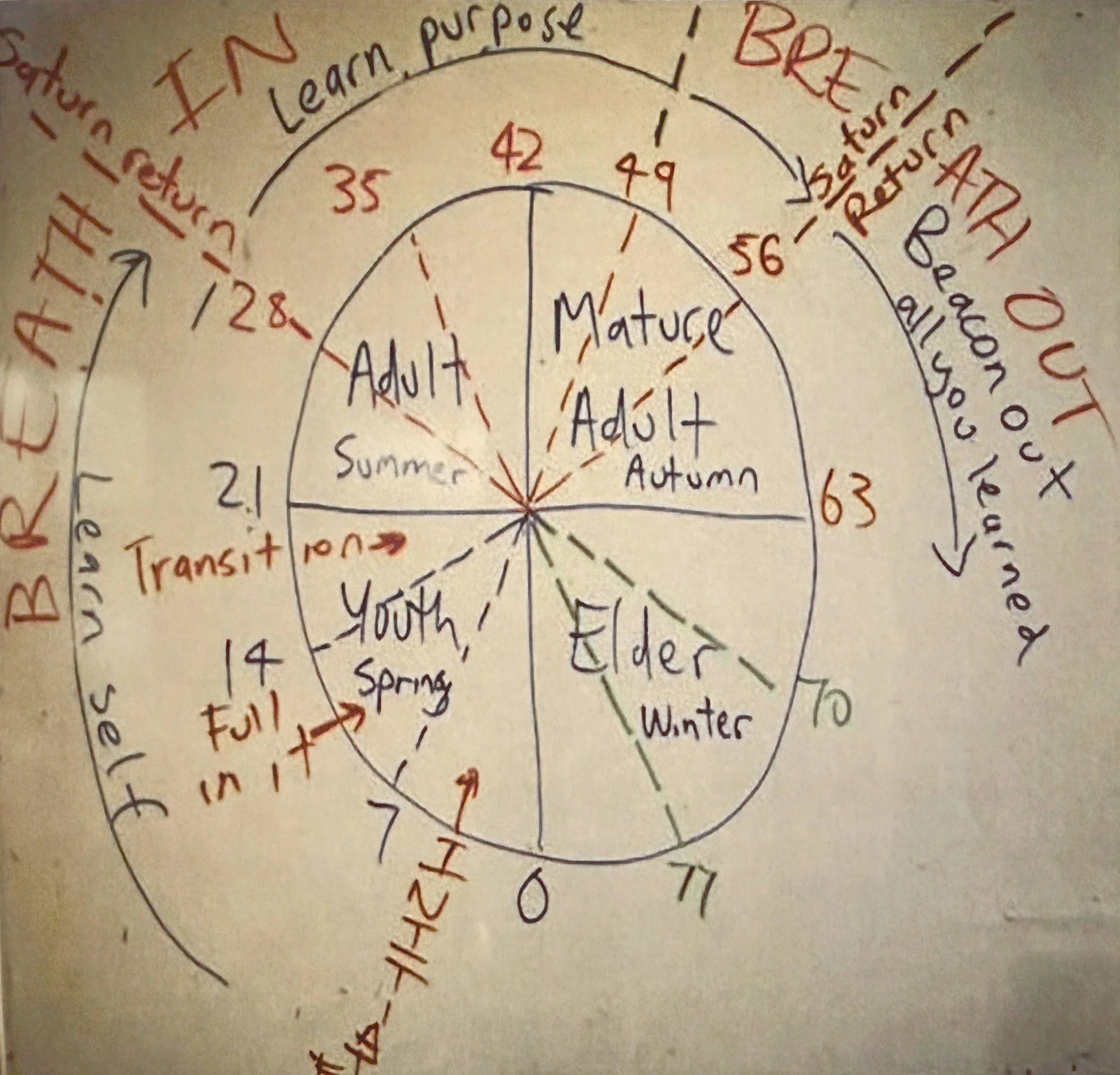 Illustraion of ages on the medicine wheel