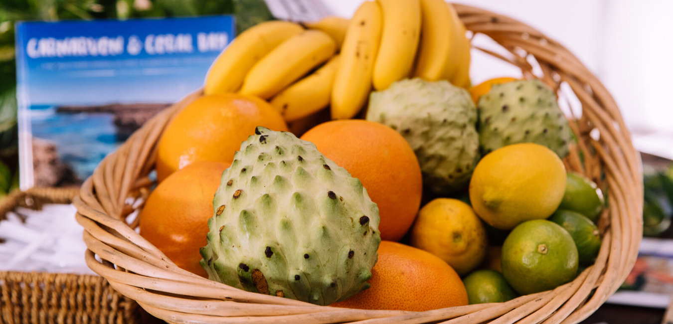 web banner 1.png