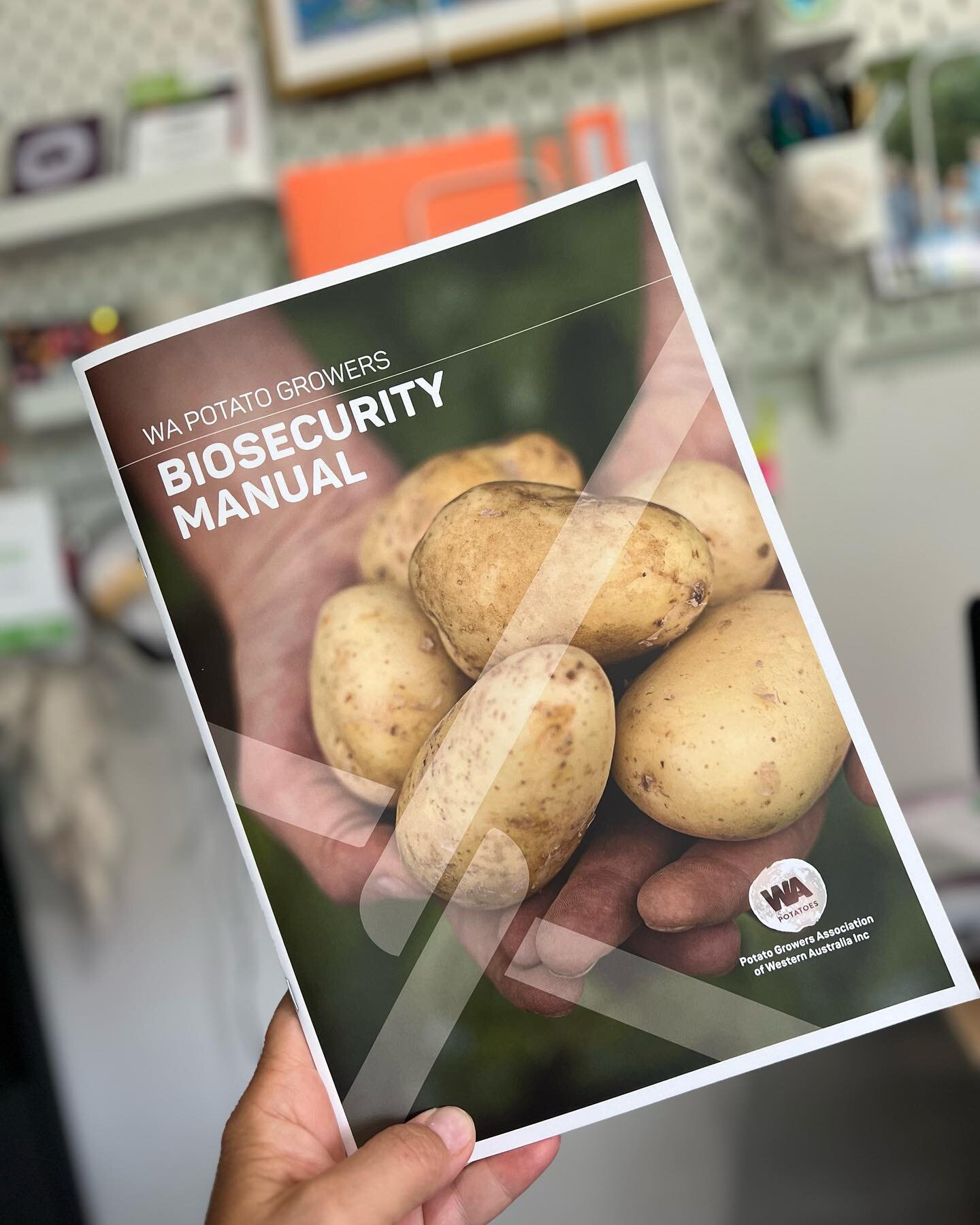 Very pleased to have this one printed and posted for the potato industry! Heading down tomorrow to catch up with growers and chat more about biosecurity #WAPotatoes #TheGoodCarb