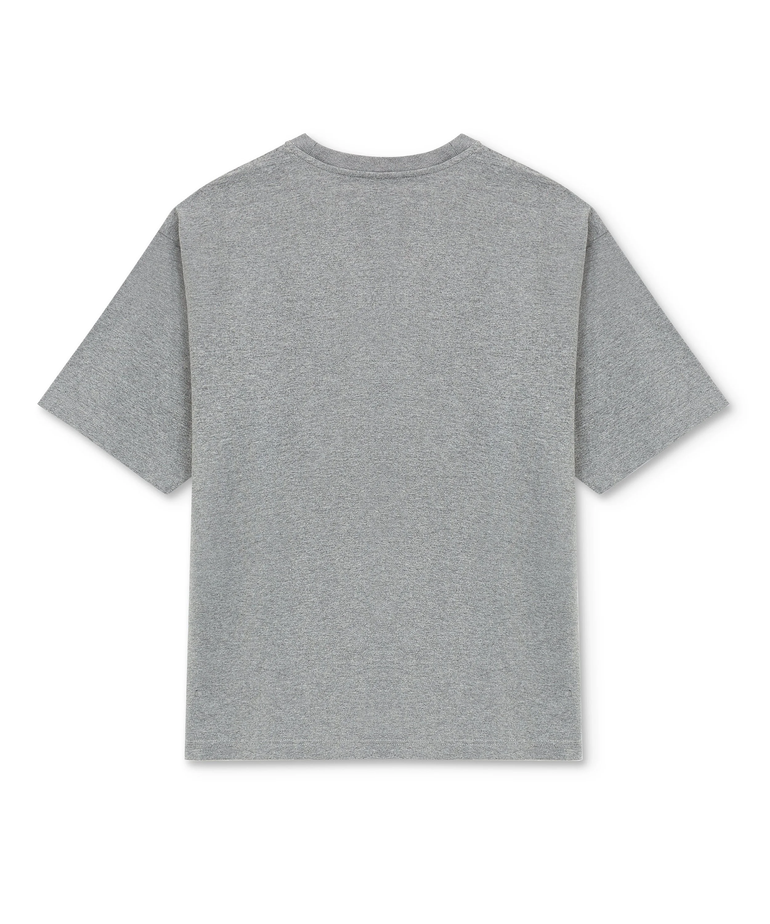 Plain Grey T-Shirt_B.jpg
