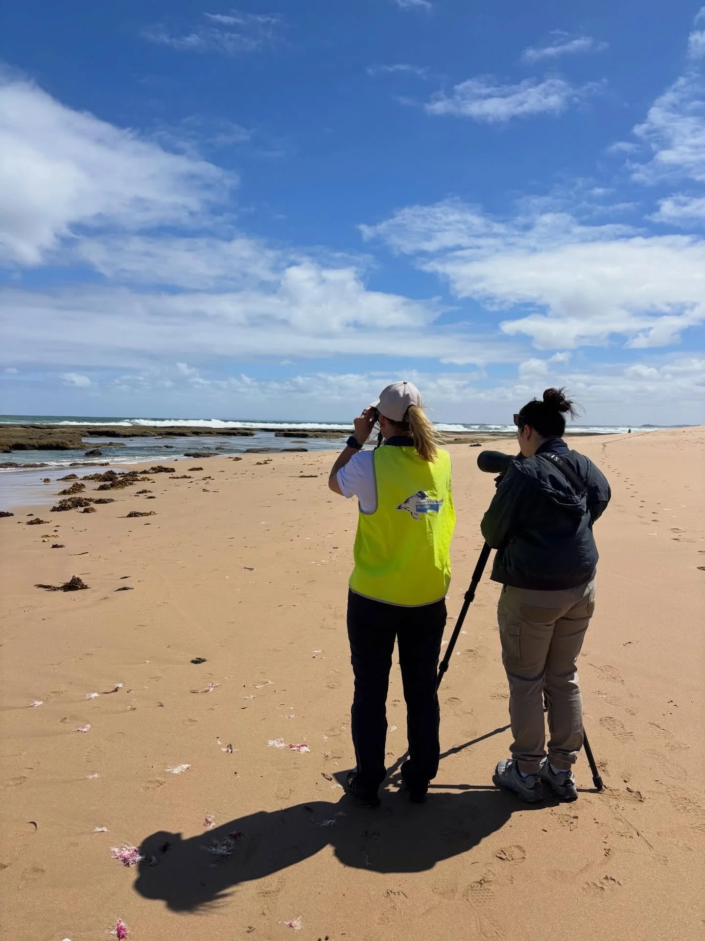 Learning all about the Hooded Plovers and the local effort to protect them during a Walk&rsquo;n&rsquo;Talk on the beautiful Point Lonsdale back beach this afternoon

Thanks so much to @bellarinecatchmentnetwork and all the volunteers from Friends of