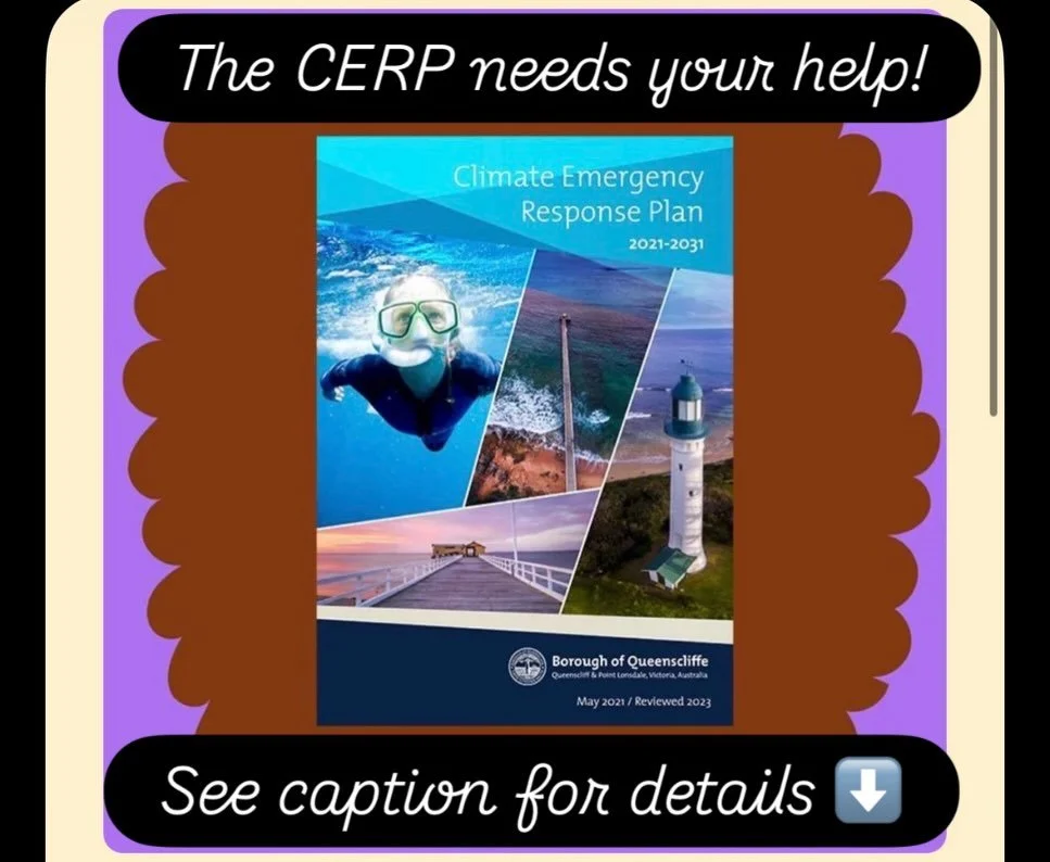 Our Climate Emergency Response Plan, the CERP, was drawn up in 2020 by the local community with input from hundreds of residents and other locals. 
It is now time for the planned five year review!
Council is co-ordinating the review process - we expe