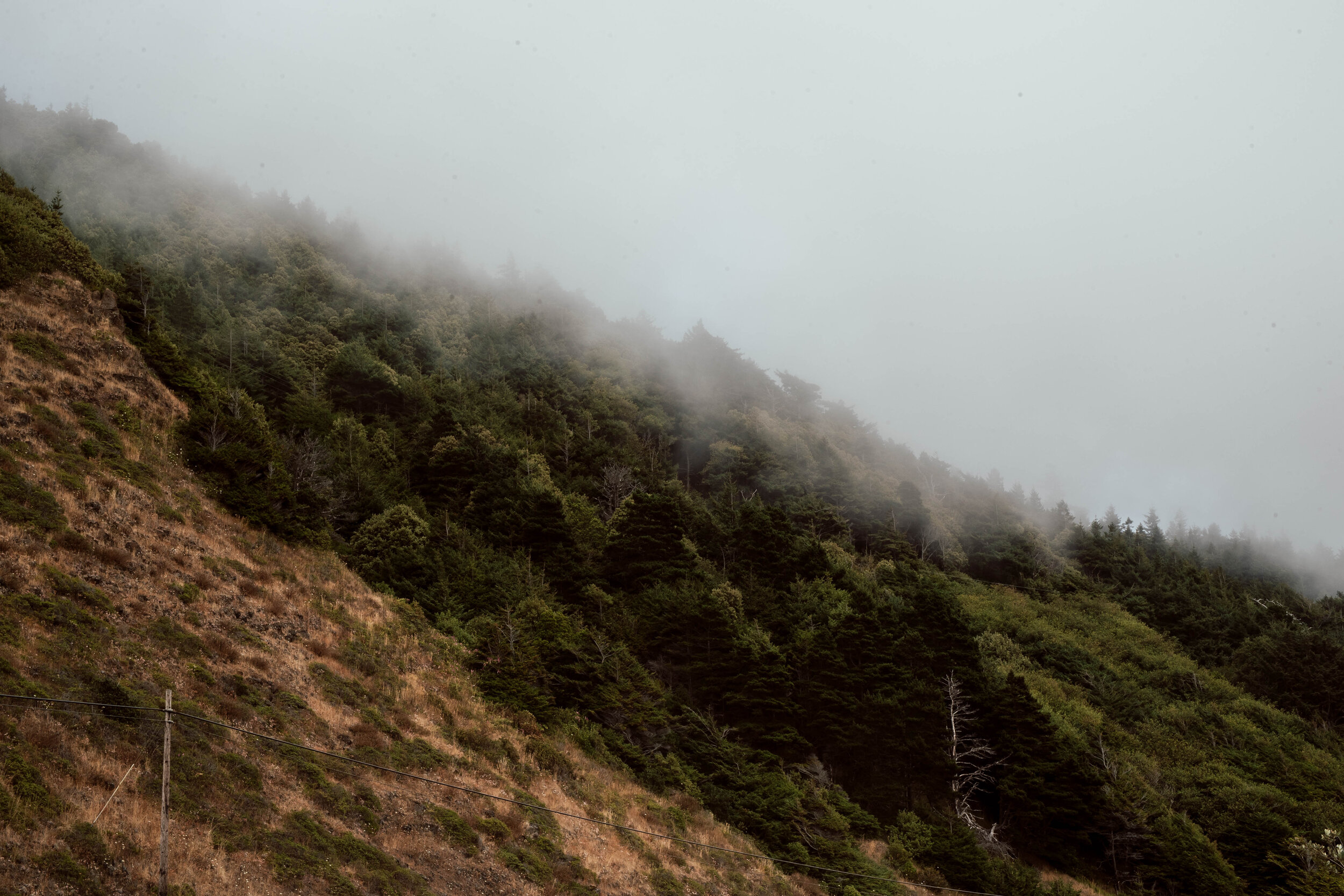 200731_OREGON_G_1DX_00235.jpg