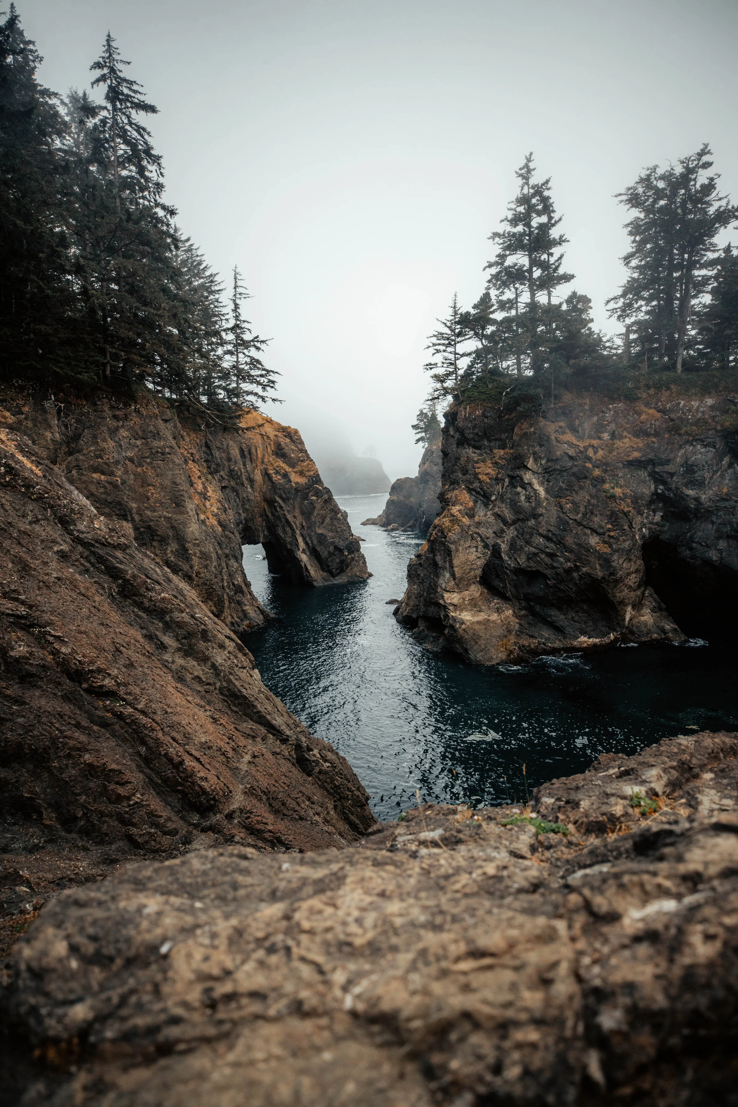200731_OREGON_G_1DX_00444.jpg