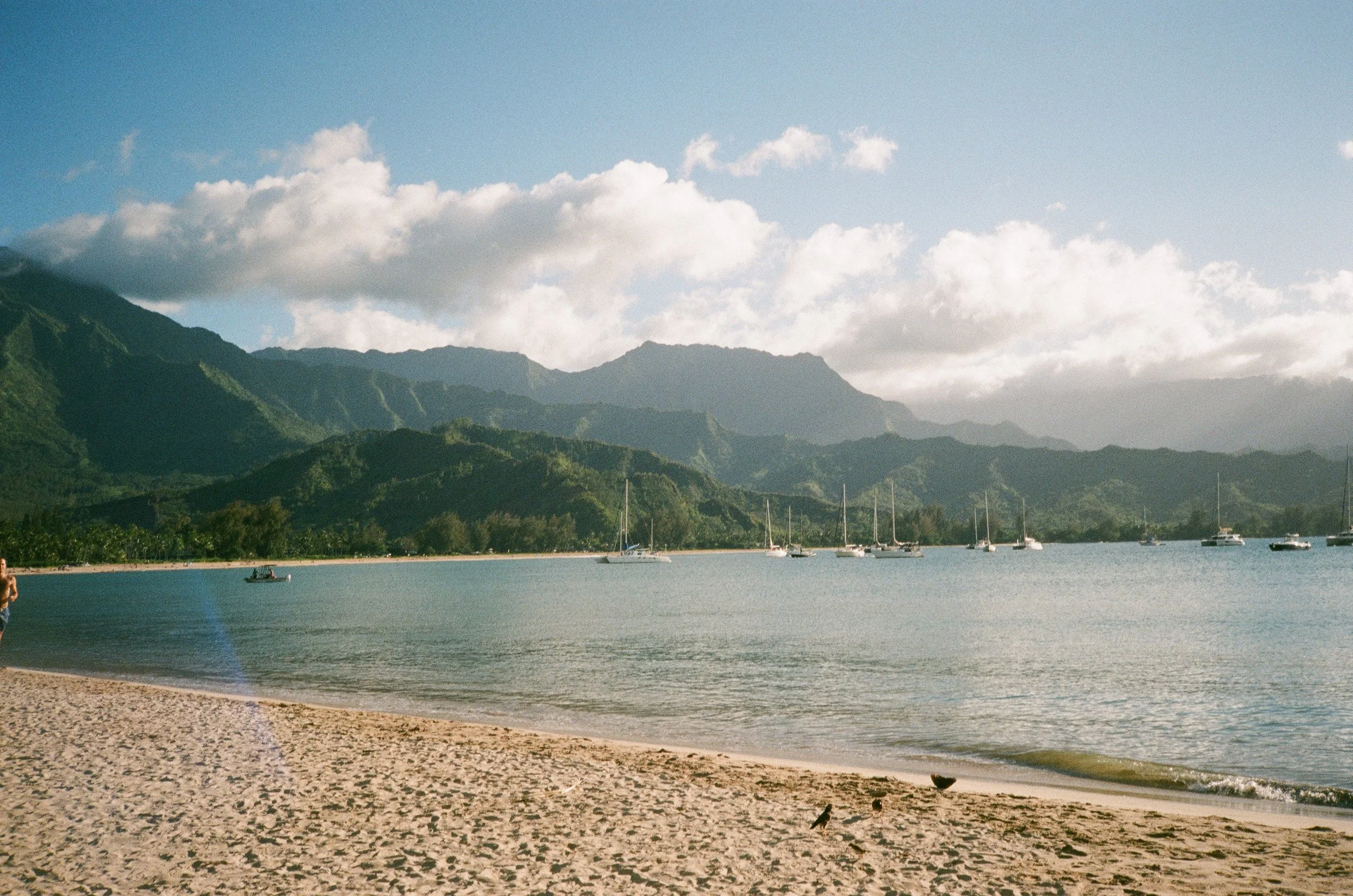 000057440029.jpg