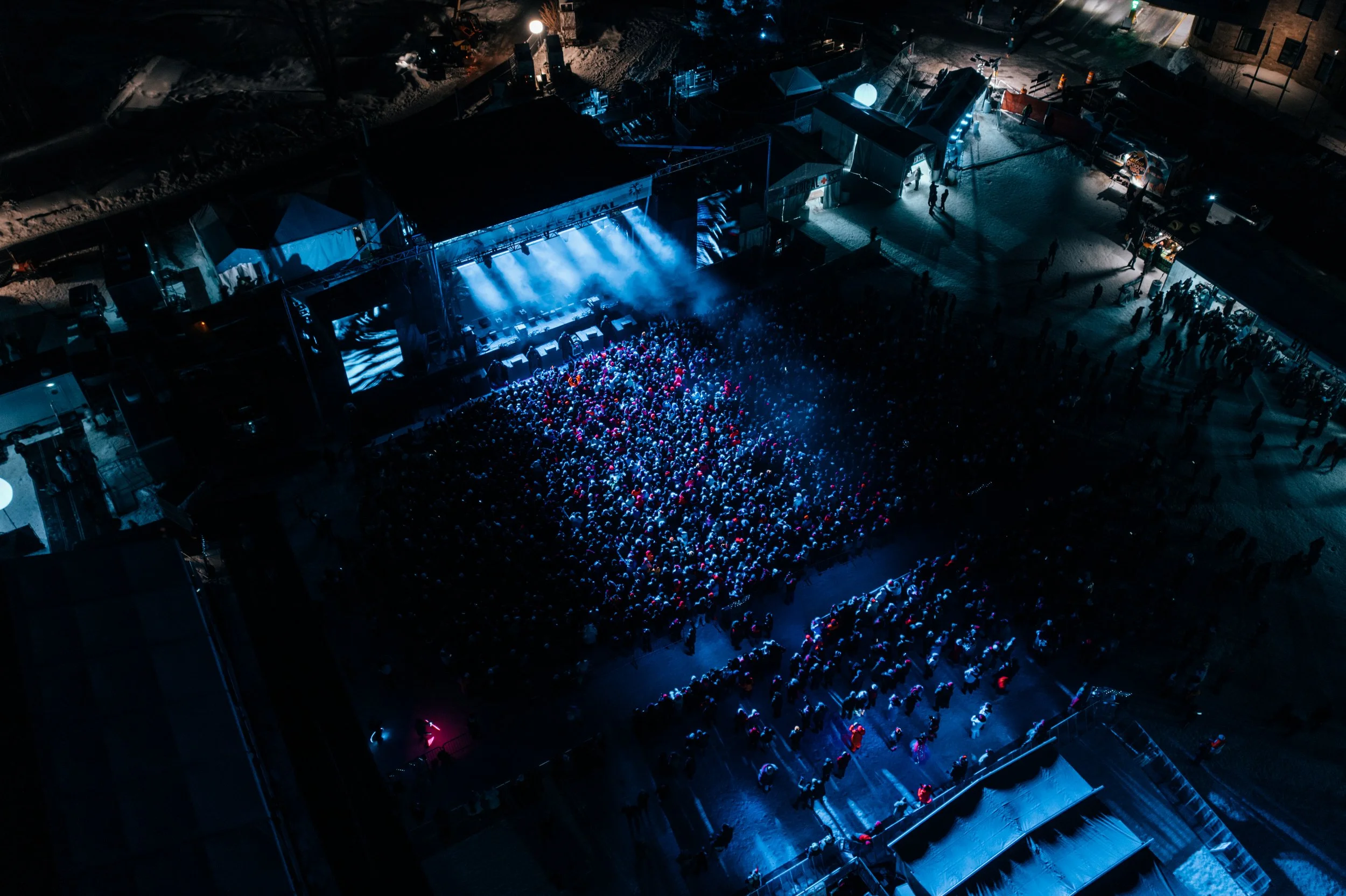 230225_PALMTREE_MAVIC2_00060.jpg