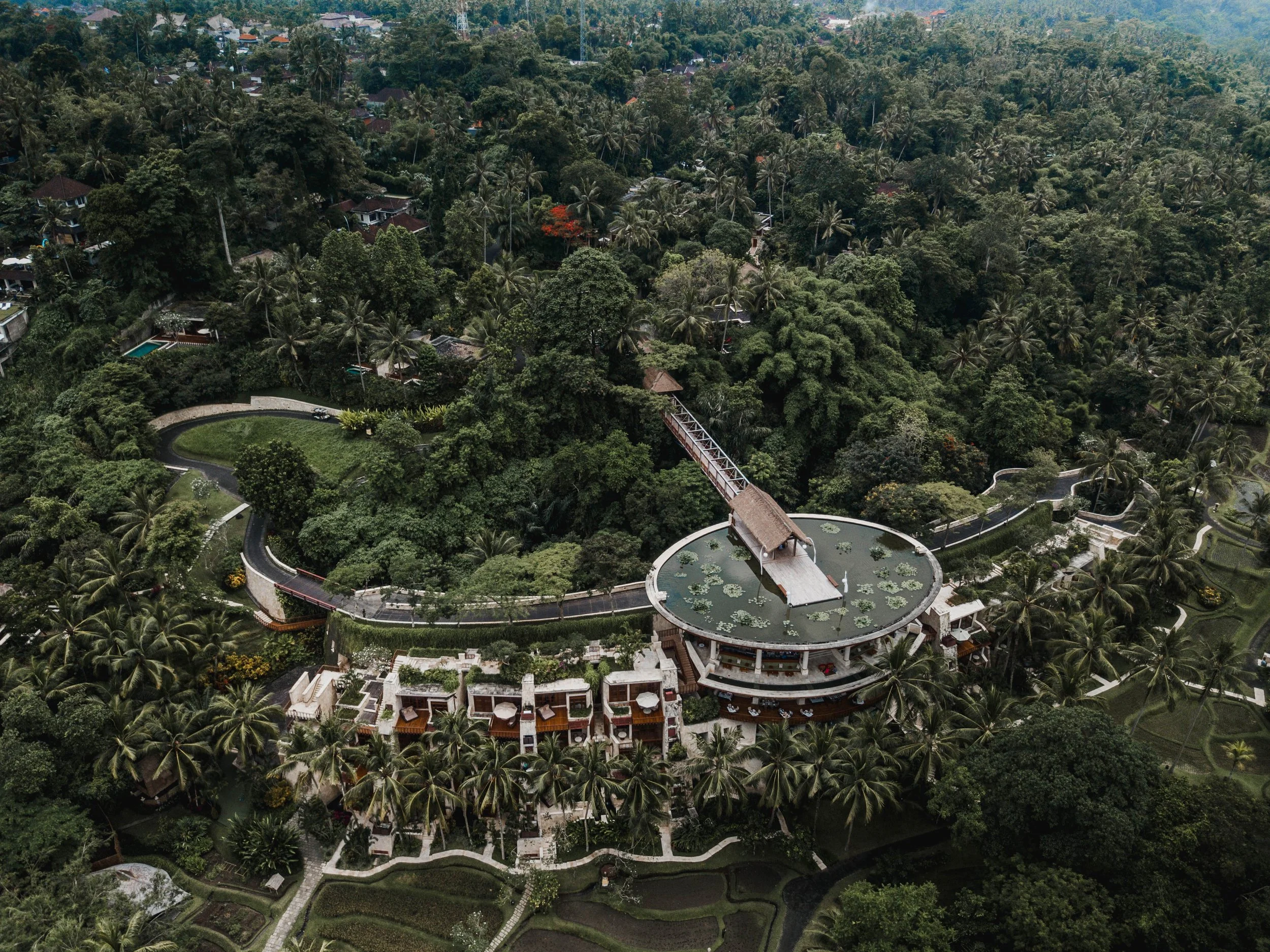 DJI_0003.jpg