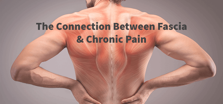 fascia-and-chronic-pain-cover-image.png
