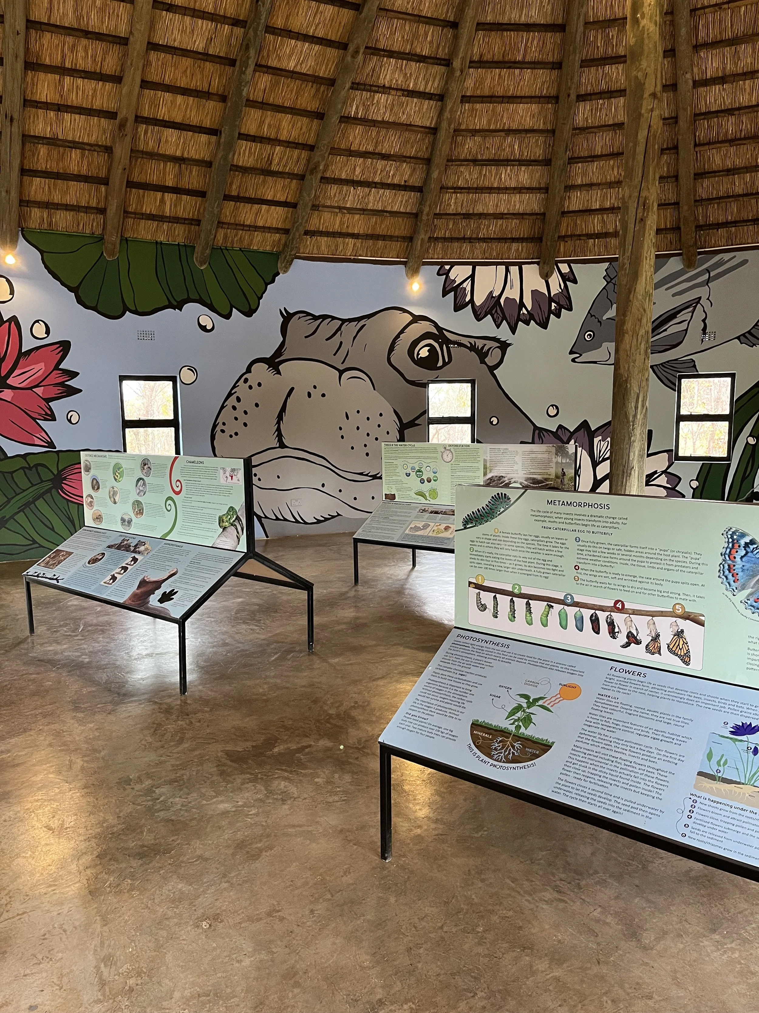 WDC Explorertorium Displays and mural 1.jpeg