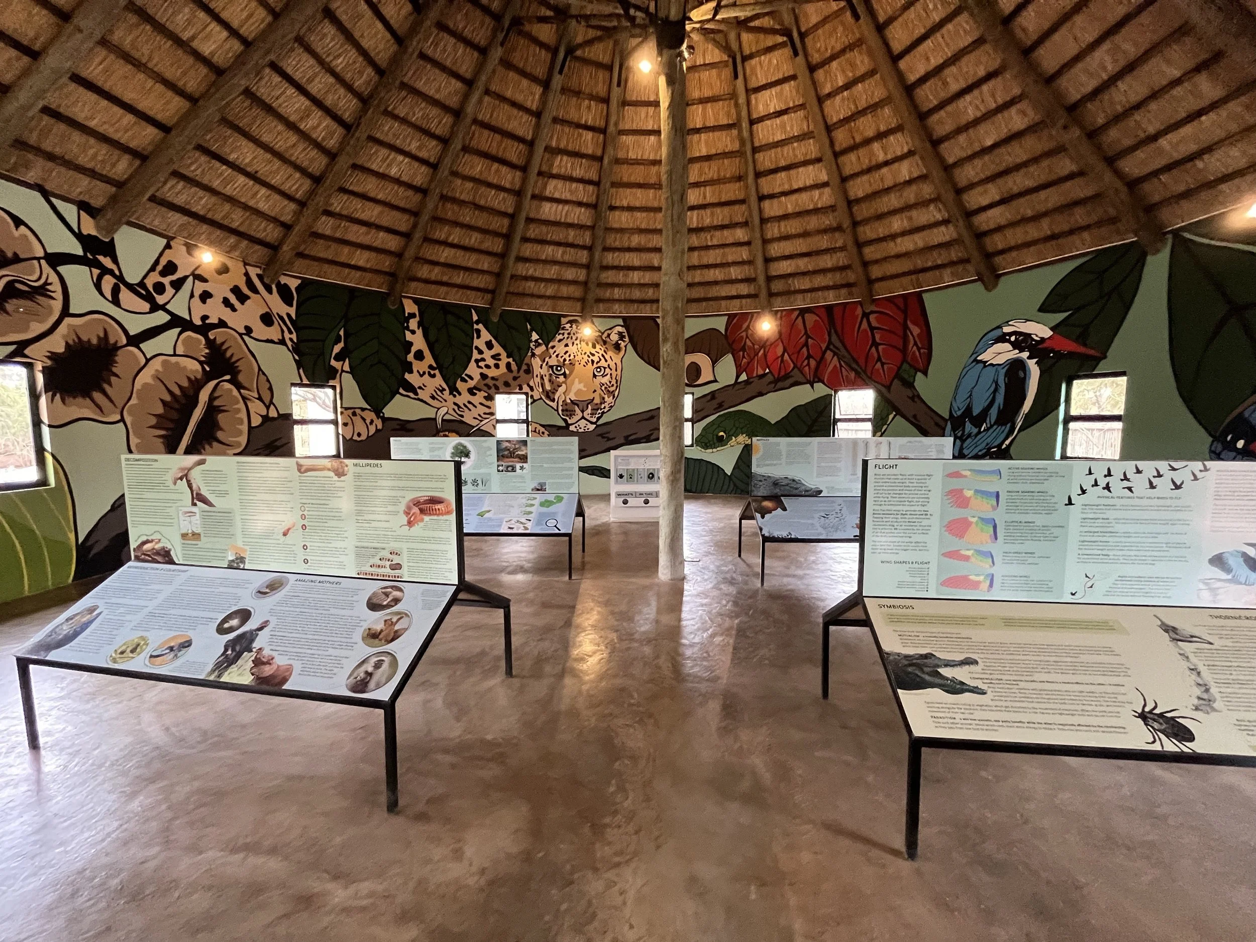 WDC Explorertorium Displays and Mural 2.jpeg