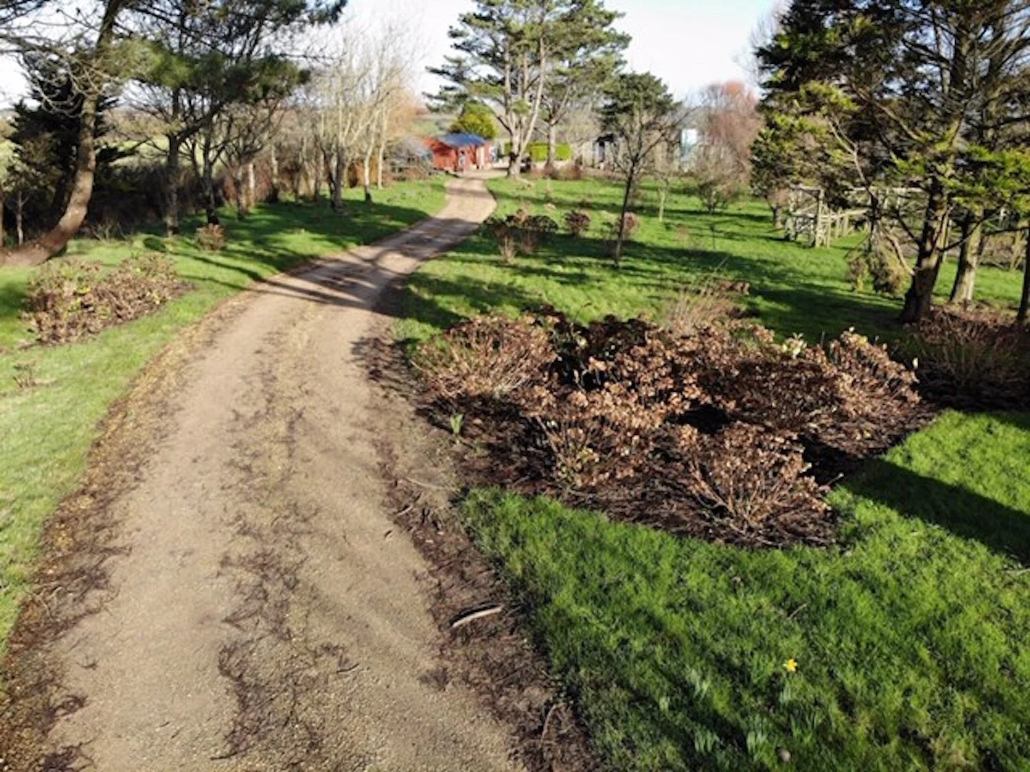 E5FCCCC47E78B01E7BE35E14A04A2647 (1).jpeg