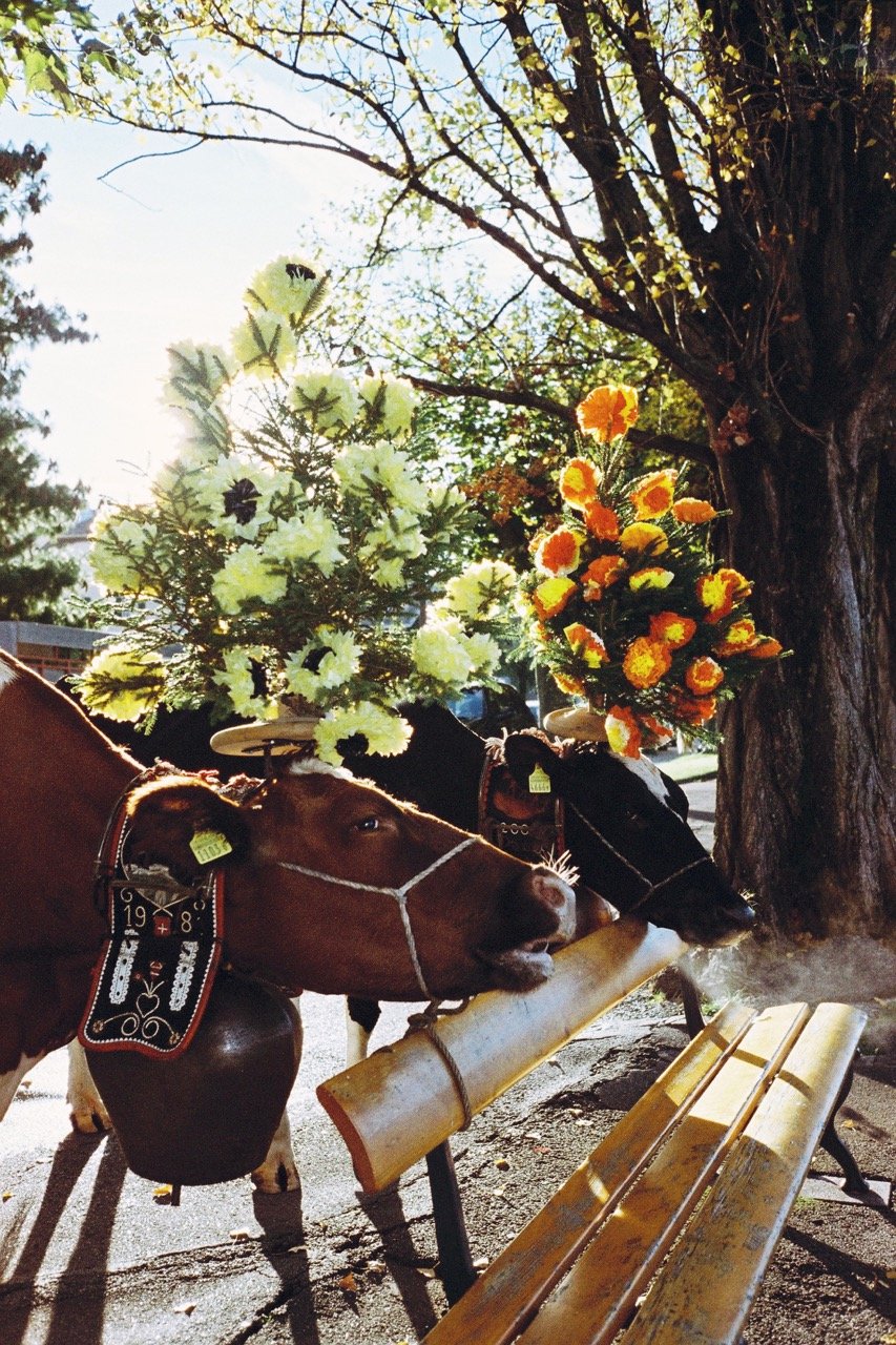 foirestmartin2022_1 copie Grande.jpeg