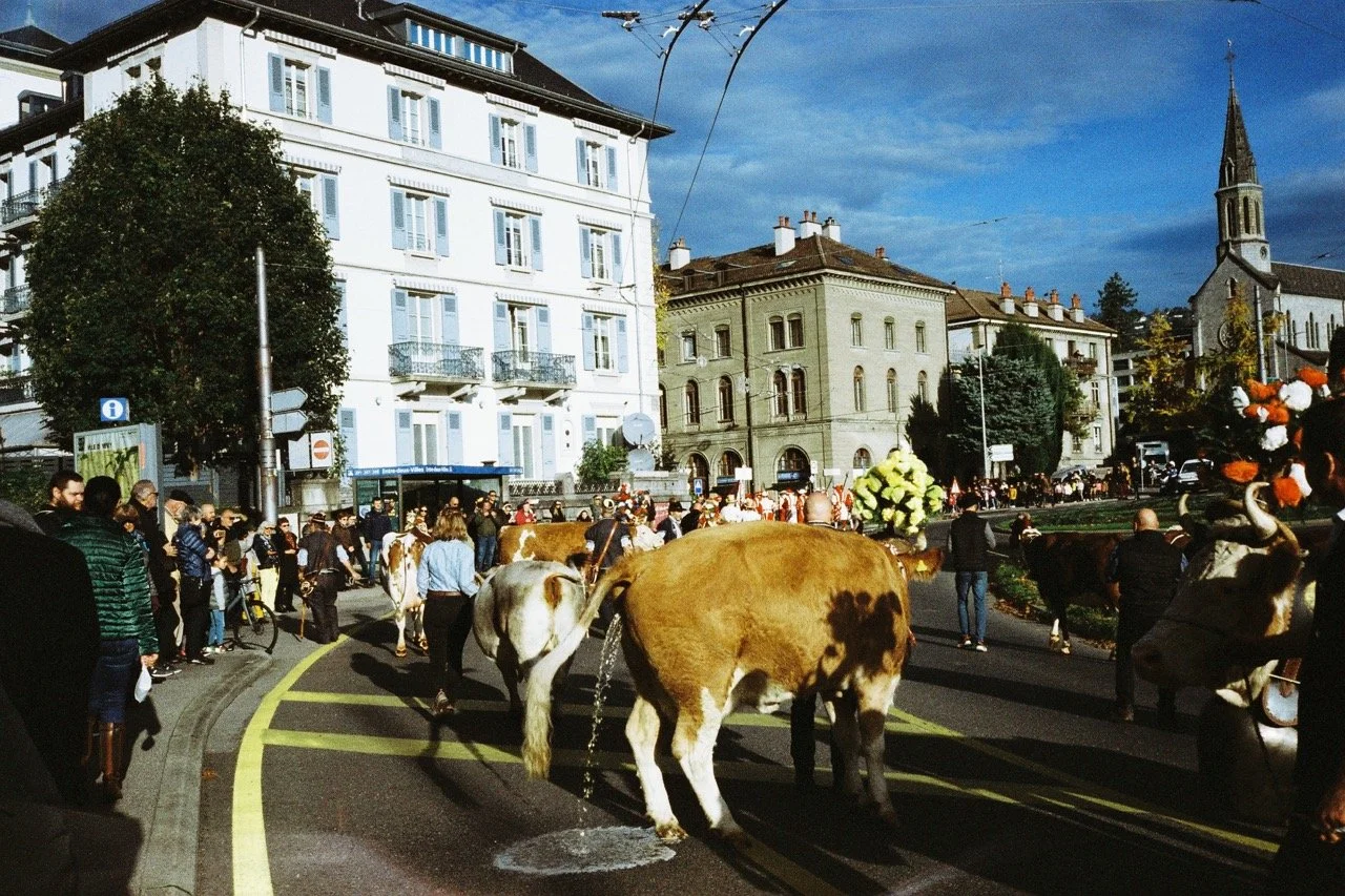 foirestmartin2022_4 copie Grande.jpeg