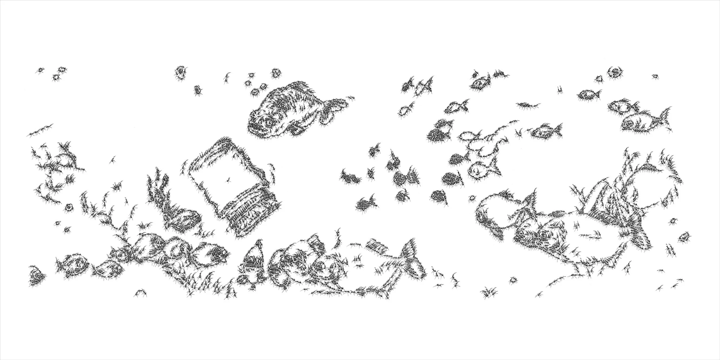 PIRANHAS - Cyril Houplain