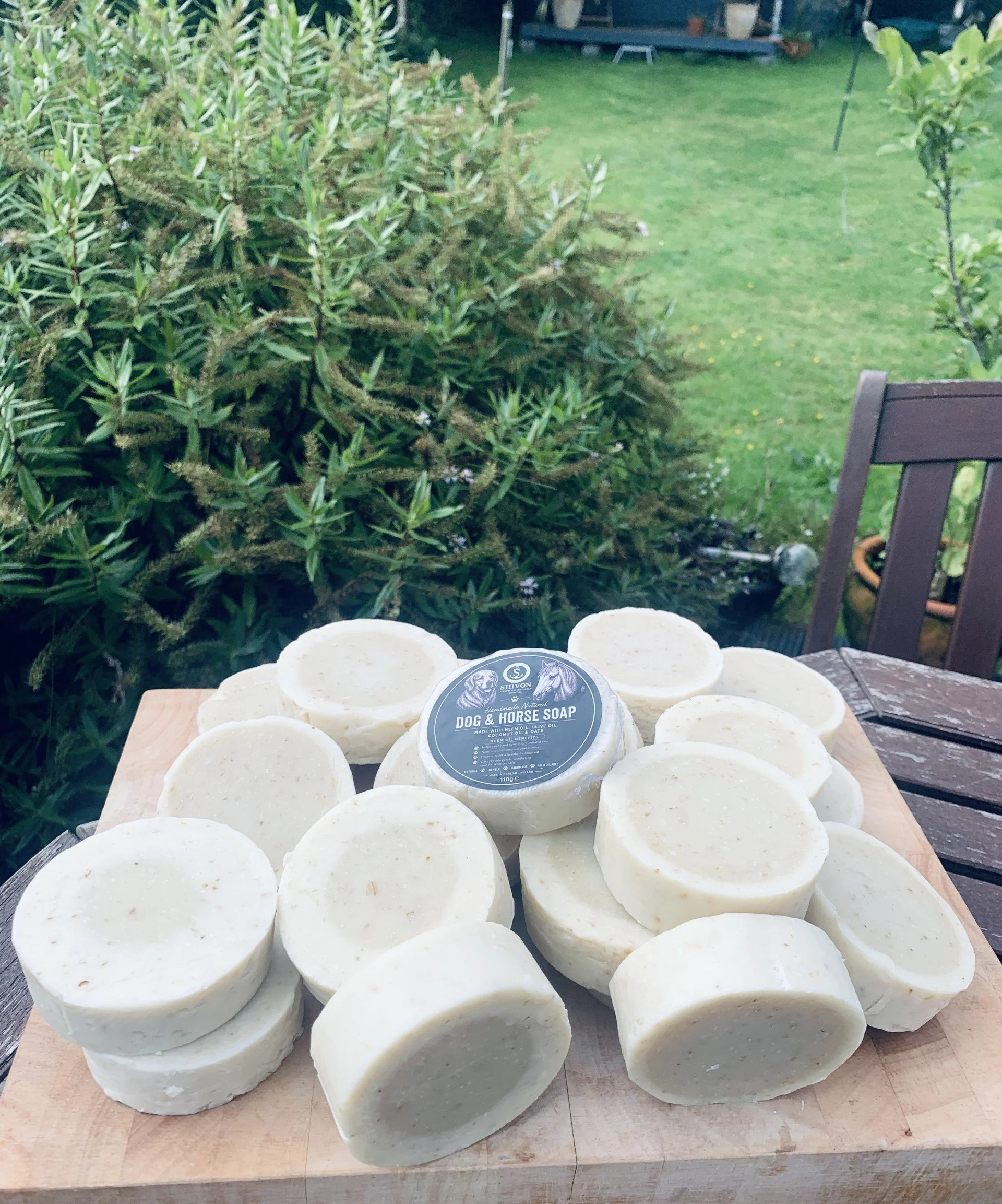 dog and horse soap unboxed display.jfif