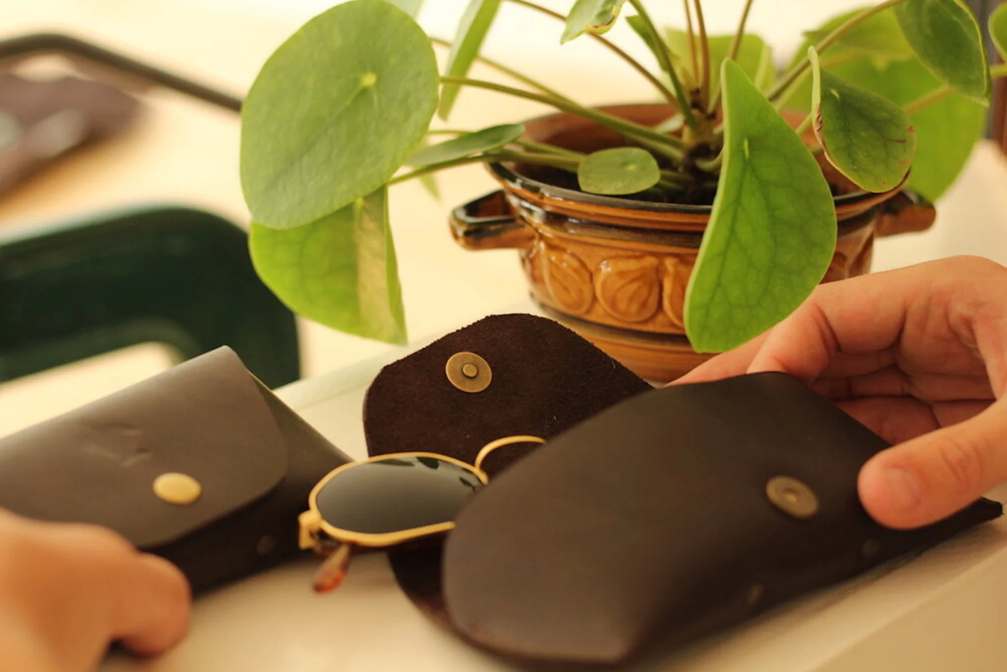 Persoon houdt een zwarte leren portefeuille met een goudkleurige knop, naast een paar zonnebrillen en een plantenpot met groene bladeren.