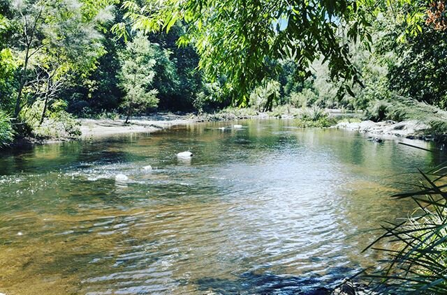 So wonderful to see the Mary River running again. #maryriver #airbnb #conondale #sunshinecoasthinterland