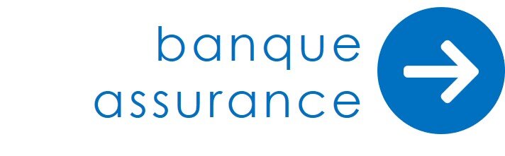 picto onglet banque assurance.jpg