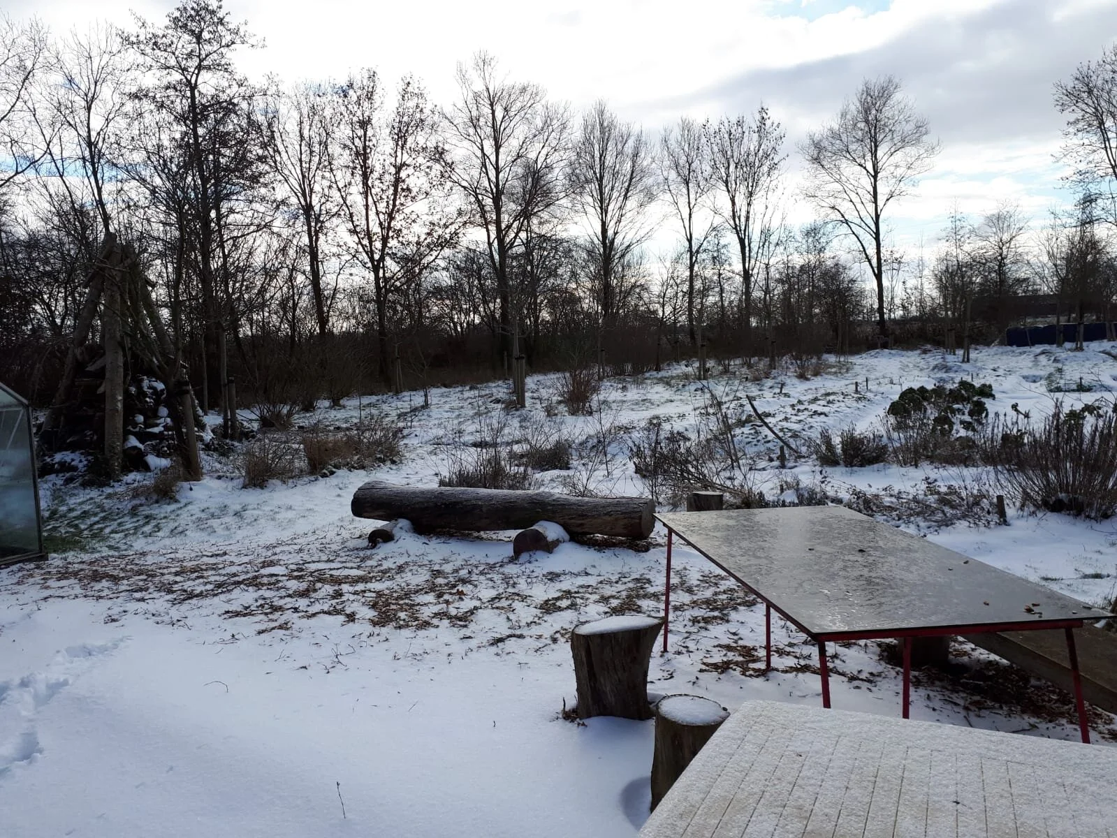 Dorpstuin in de sneeuw.jpeg