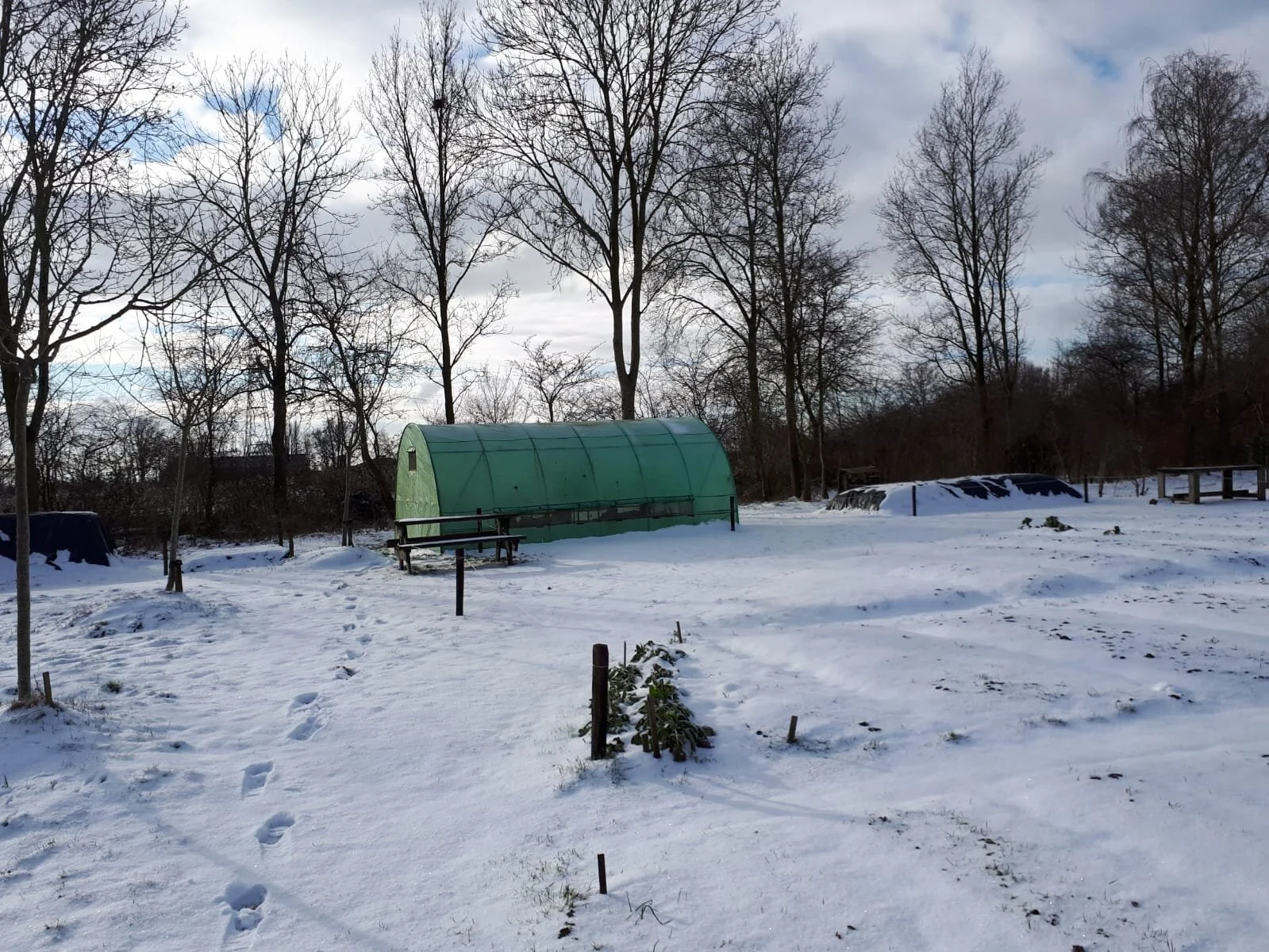 Even zoeken naar de paden.jpeg