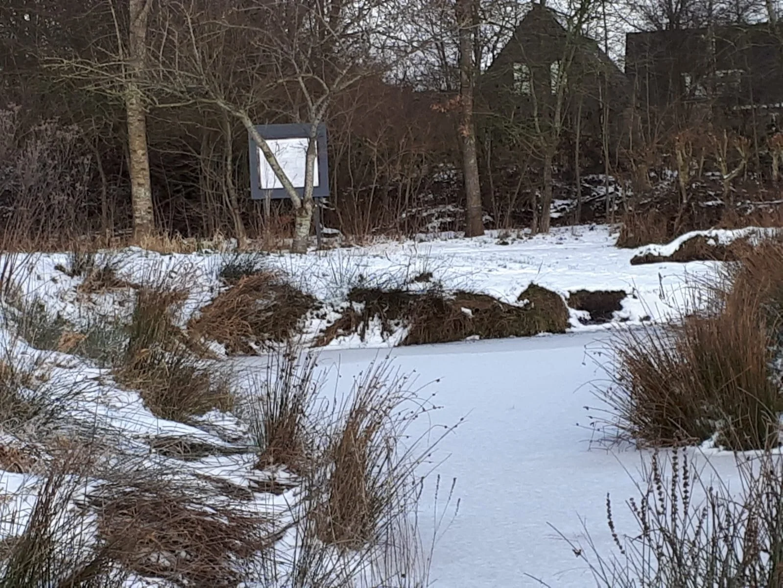 IJs en sneeuw vijver.jpeg