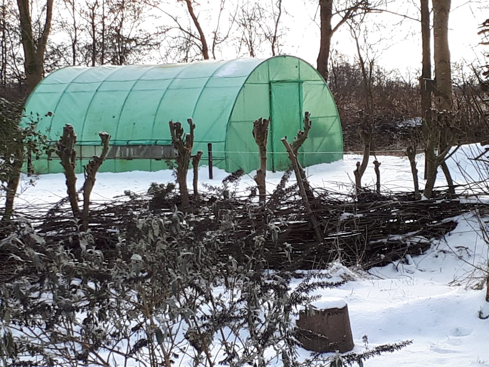 Winter 10 februari 2021 .jpeg