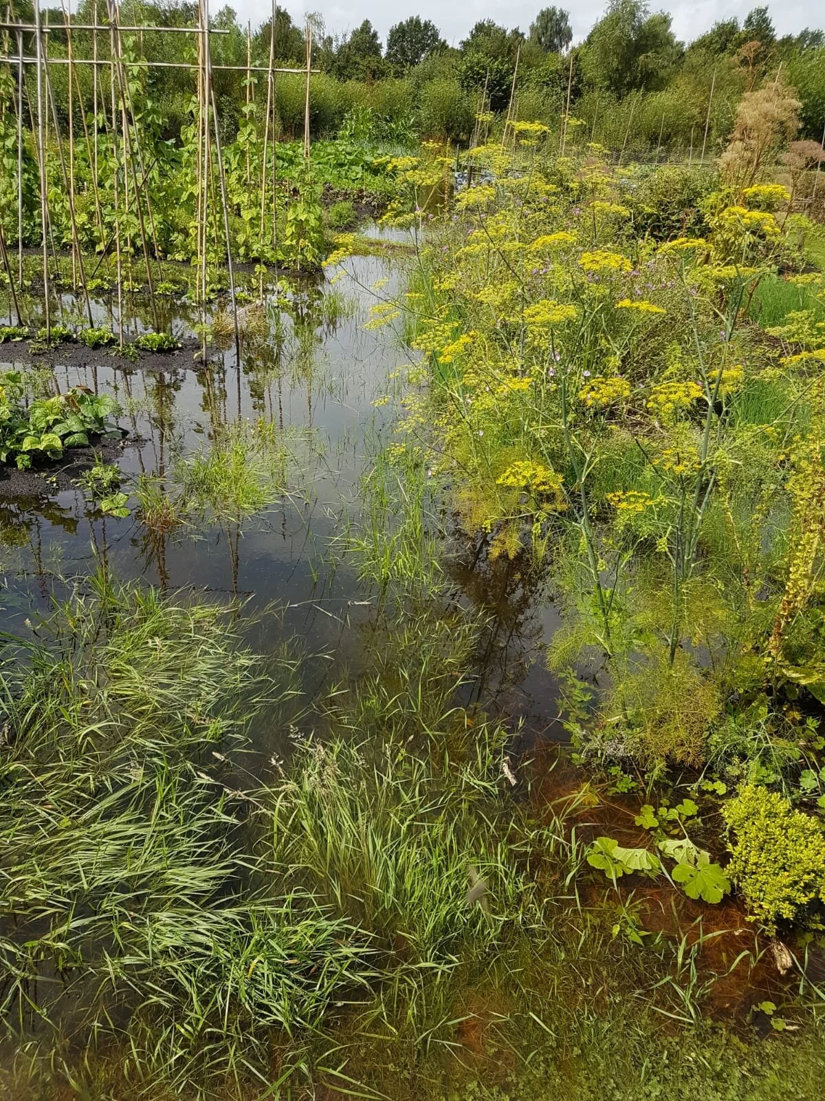 Update augustus 2021